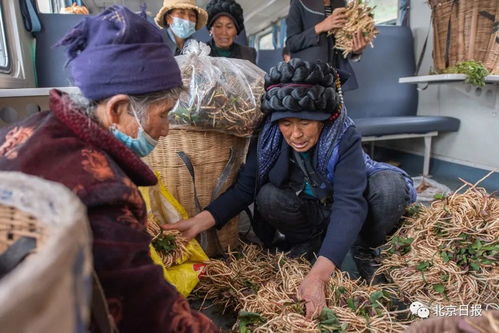 桥边鸣笛三十秒，家禽牲畜知多少？