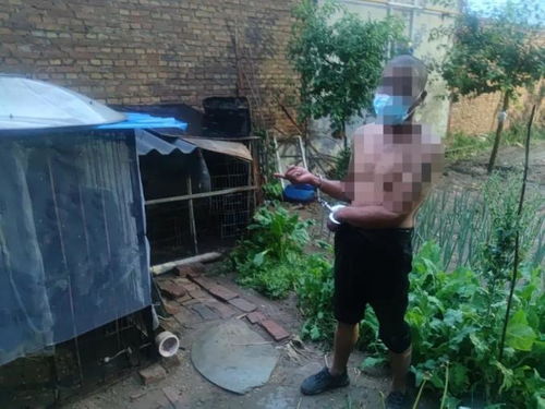 半夜鸡叫却是贼 保定高阳公安破获系列盗窃家禽牲畜案